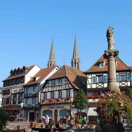 Le Carrousel - Appartement Cosy Centre Obernai Exteriér fotografie