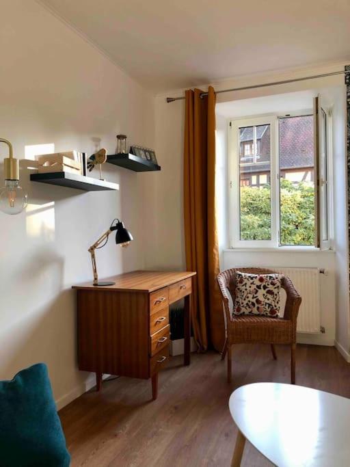 Le Carrousel - Appartement Cosy Centre Obernai Exteriér fotografie